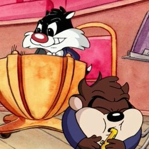 tasmanian devil baby looney tunes