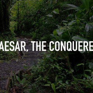 Caesar, The Conquerer photo 1
