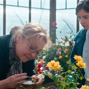 "The Rose Maker photo 17"