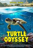 Turtle Odyssey poster image