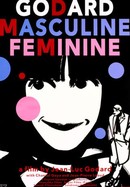 Masculine-Feminine poster image