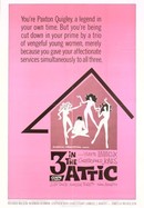 Three in the Attic poster image