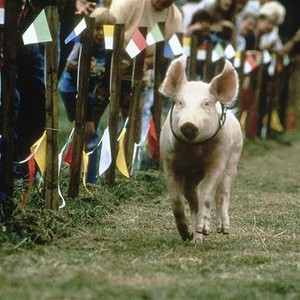 Rudy, the Racing Pig (1994) photo 1