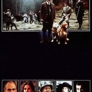 The Shooting Party - Rotten Tomatoes