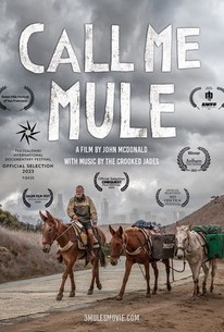 Watch the discount mule full movie