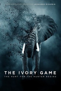Watch trailer for The Ivory Game