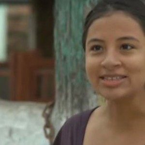 Amor y Frijoles Rotten Tomatoes