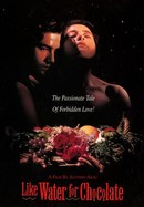 Like Water for Chocolate poster image