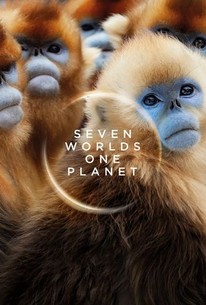 Seven Worlds, One Planet: Season 1 | Rotten Tomatoes