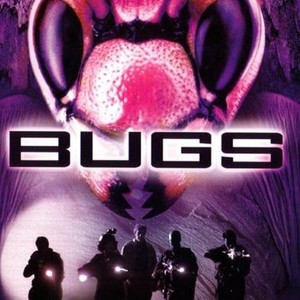 Bugs photo 6