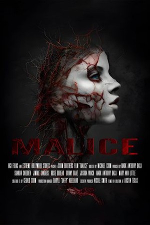 Malice poster