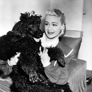 CHICAGO DEADLINE, June Havoc with pet poodle, Grumpy, on-set, 1949