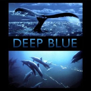 Deep Blue photo 12
