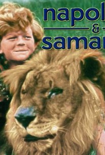 Napoleon And Samantha 1972 Rotten Tomatoes