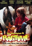 The Adventures of Ragtime poster image