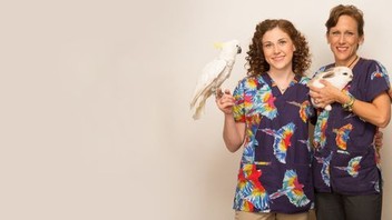 Avian and exotic animal hospital outlet dr kelleher
