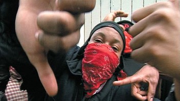 Slippin': Ten Years With the Bloods | Rotten Tomatoes