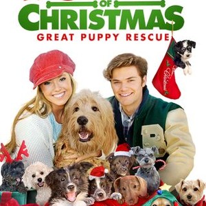 12 Dogs Of Christmas: Great Puppy Rescue - Rotten Tomatoes