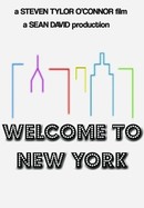 Welcome to New York poster image