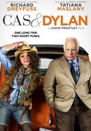 Cas & Dylan poster image