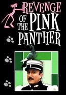 Revenge of the Pink Panther poster image