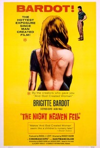 Poster for The Night Heaven Fell