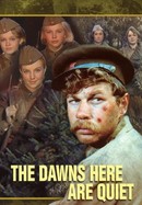 The Dawns Here Are Quiet poster image