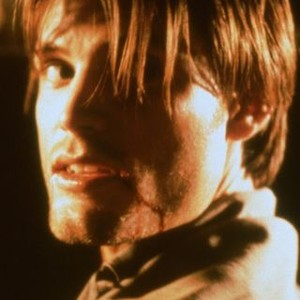 Modern Vampires - Rotten Tomatoes