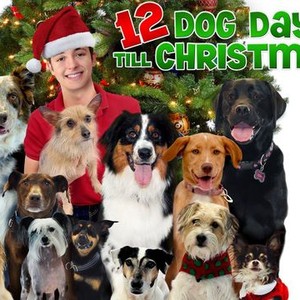 12 Dog Days Till Christmas photo 5