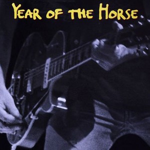 Year of the Horse photo 5