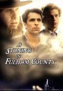 A Stoning in Fulham County poster image