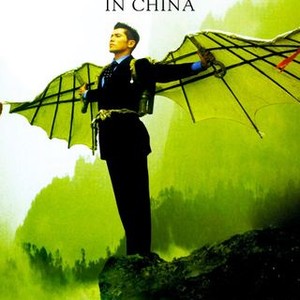 The Bird People in China photo 10