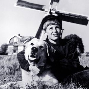 A Dog of Flanders (1959)