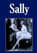 Sally poster image