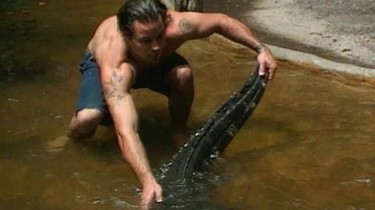 Jackass Season 1 Episode 4 Rotten Tomatoes