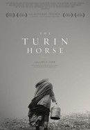 The Turin Horse poster image