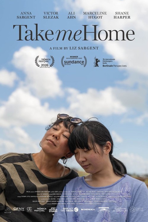 Take Me Home poster