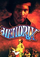 Hendrix poster image