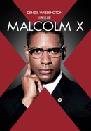 Malcolm X poster image