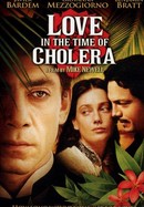 Love in the Time of Cholera poster image