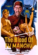 The Blood of Fu Manchu poster image