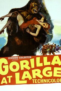 gorilla film production michigan