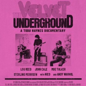 The Velvet Underground (2021) photo 2