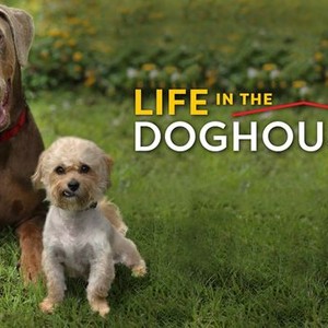 Life in the Doghouse Rotten Tomatoes