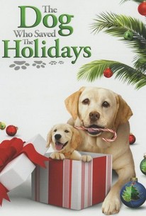 Poster for The Dog Who Saved the Holidays