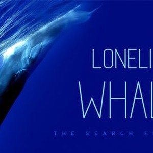 THE LONELIEST WHALE, So Who Does Respond