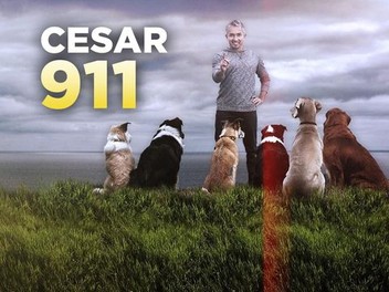 Cesar 911 sales season 4