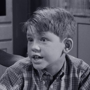 The Andy Griffith Show: Season 4, Episode 8 - Rotten Tomatoes