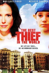 The Best Thief in the World poster