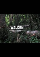Walden poster image